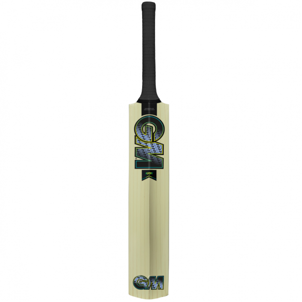 GM Aion Junior Cricket Bat 2025