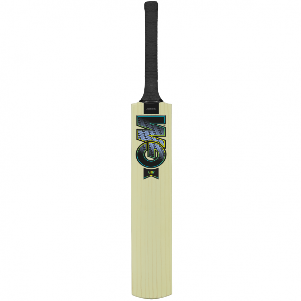 GM Aion Junior Cricket Bat 2025