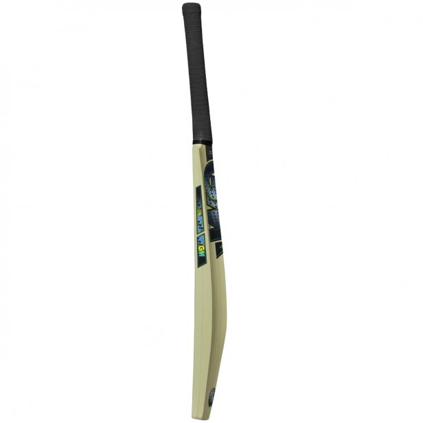GM Aion Junior Cricket Bat 2025