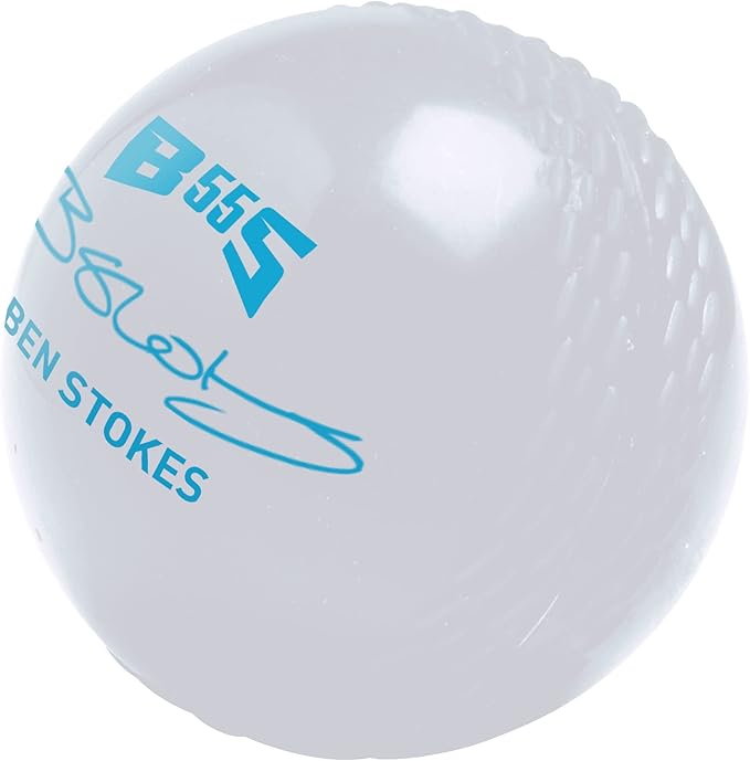 GM All-Weather Cricket Ball