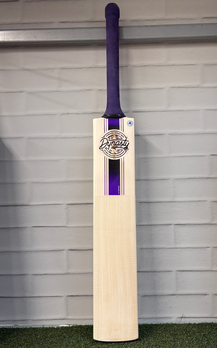 Dynasty GdB Senior Cricket Bat