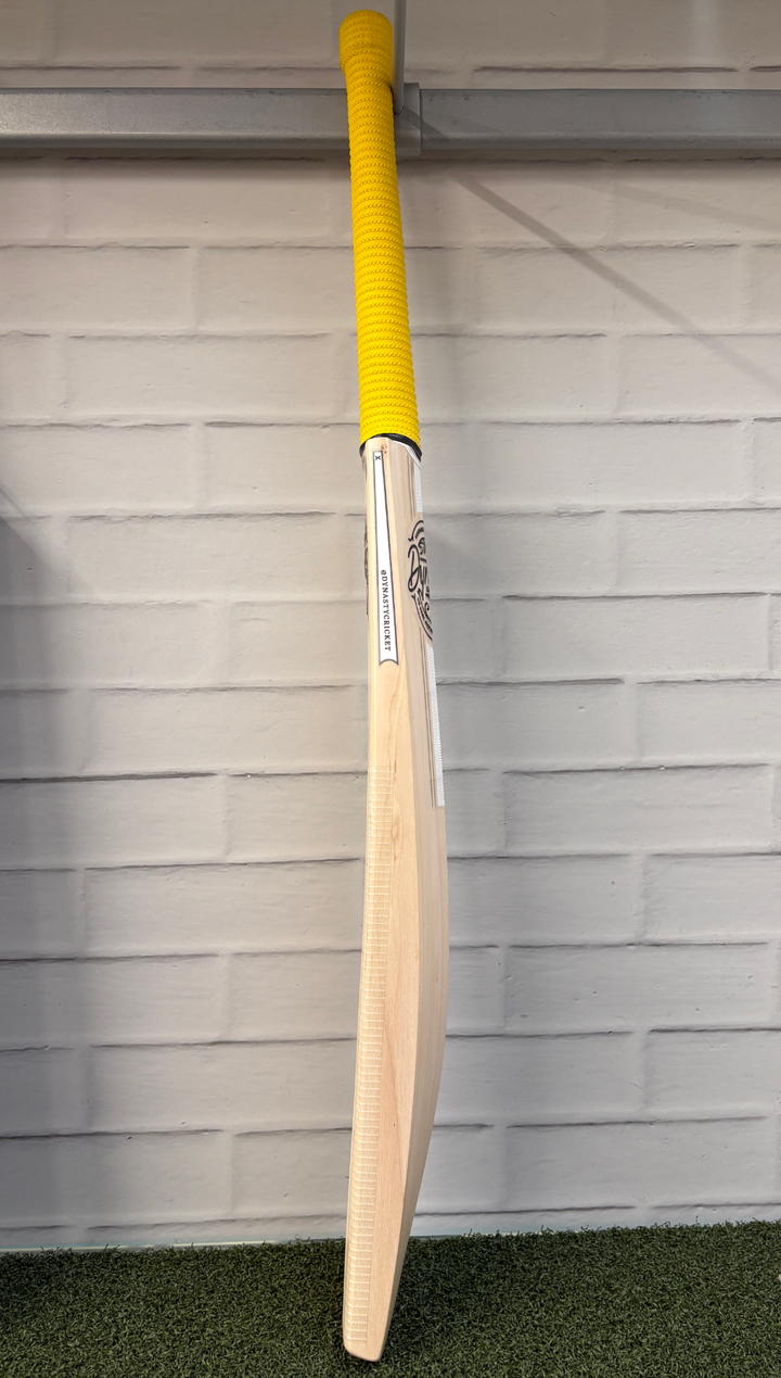 Dynasty GdX Academy Cricket Bat