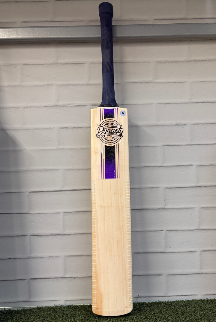 Dynasty GdX Senior Cricket Bat