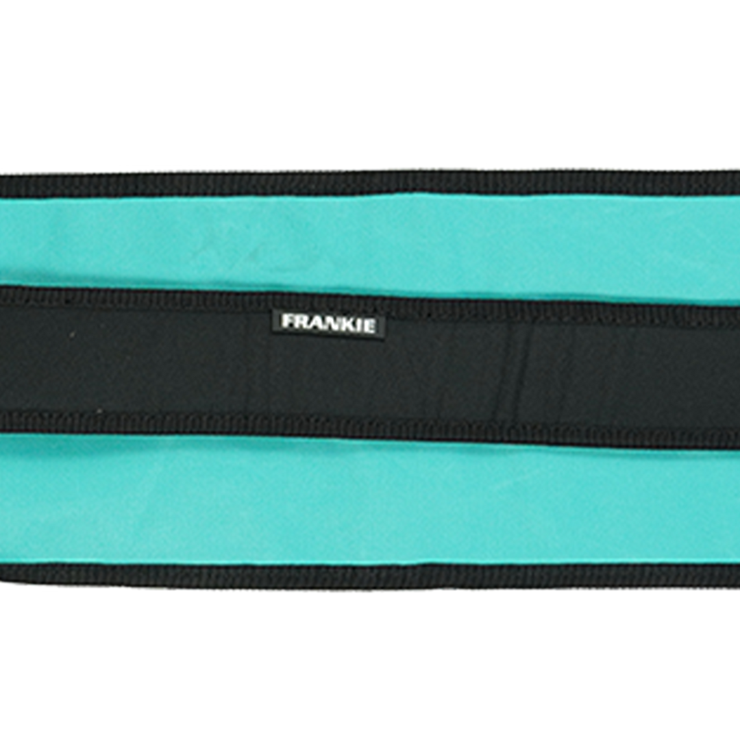 Gryphon Frankie Bag Teal