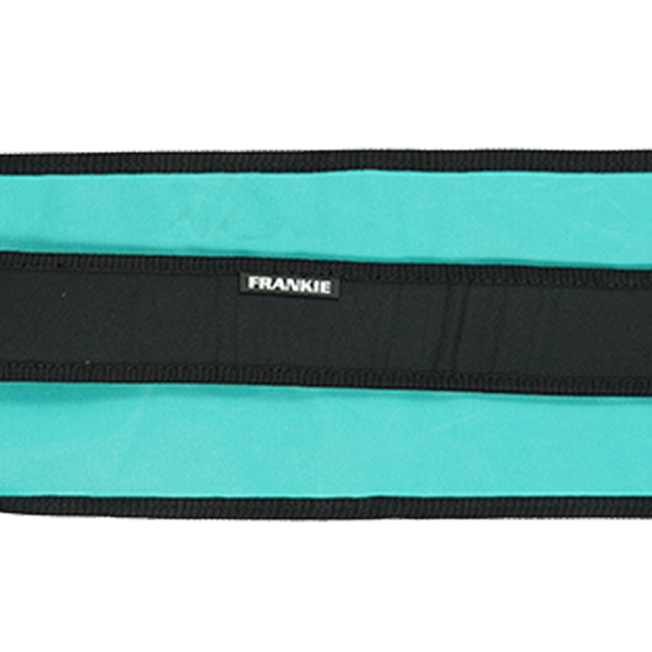 Gryphon Frankie Bag Teal