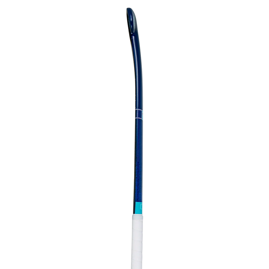GRYPHON Atomic Pro25 G26