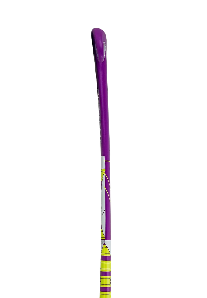 Paradox J.1 Purple