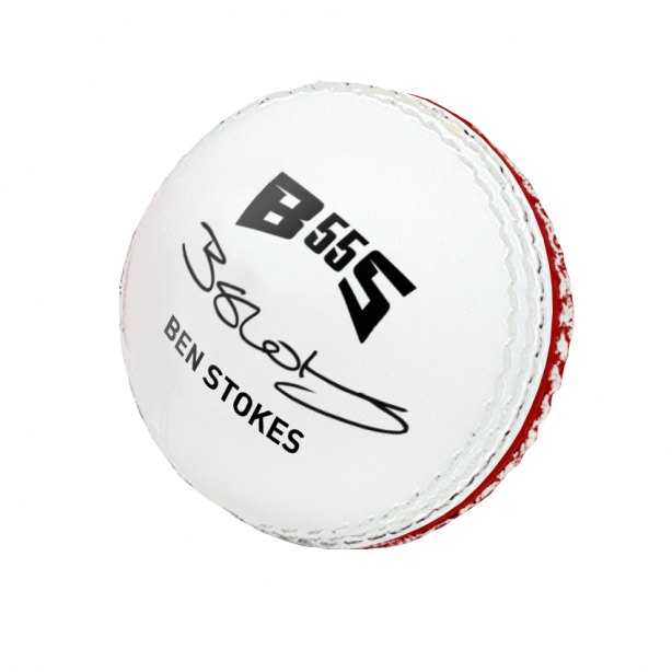 GM Skills Cricket Ball
