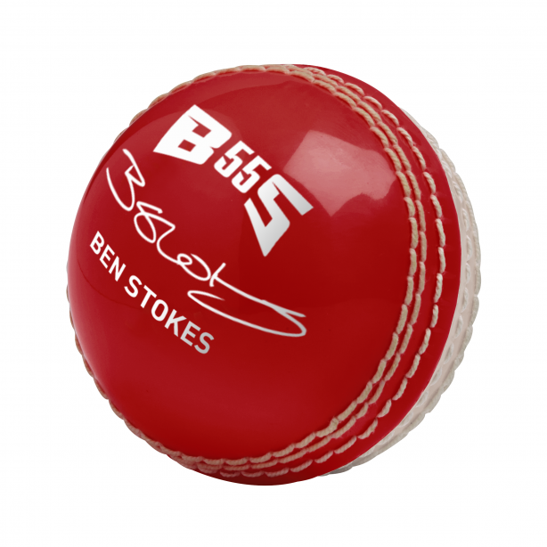 GM Skills Cricket Ball