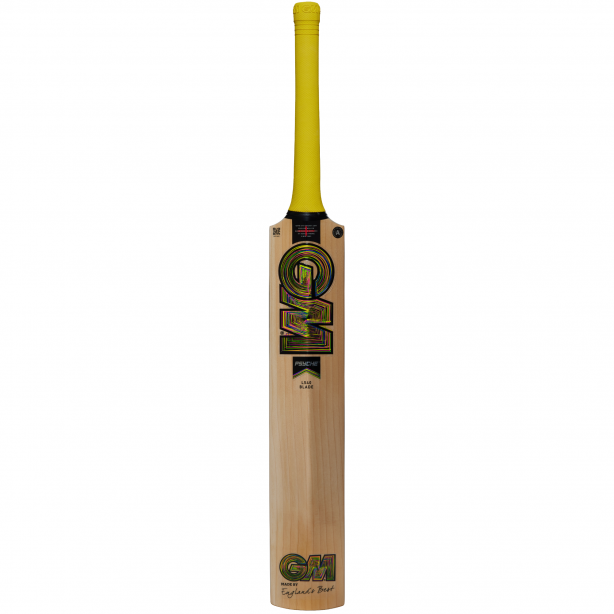 GM Psyche DXM 404 TTNOW Junior Cricket Bat 2026