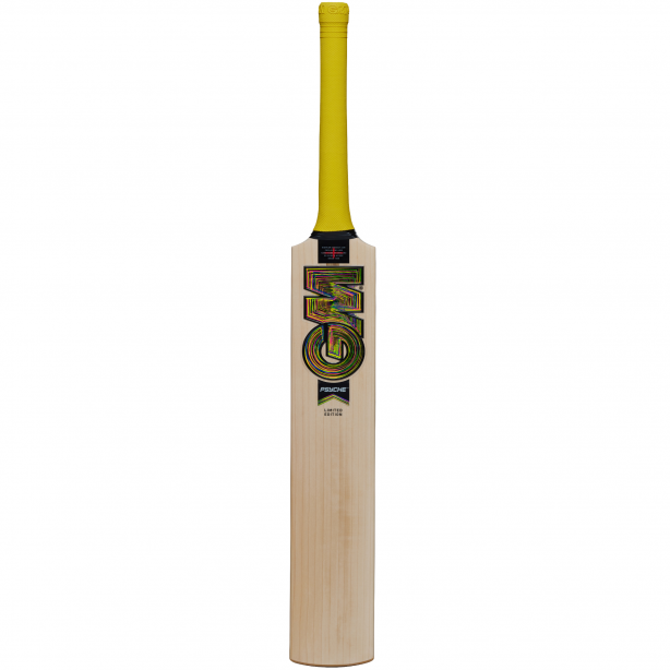 GM Psyche DXM 404 TTNOW Junior Cricket Bat 2026